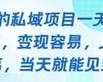 好做的私域项目一天变现1k+，变现容易，人群占比高，当天就能见到钱