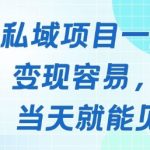 好做的私域项目一天变现1k+，变现容易，人群占比高，当天就能见到钱