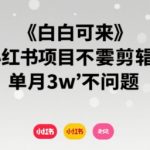 小白可来 小红书项目不需要剪辑 单月3w不是问题