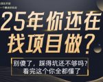 25年，你还在疯狂的找项目吗？别傻了，看完这个你都懂了【揭秘】