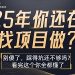 25年，你还在疯狂的找项目吗？别傻了，看完这个你都懂了【揭秘】