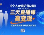 个人IP资产第2期【2025年7月】三天直播课，​小团队高变现，互联网全链路挣钱实战打法