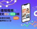 抖音短视频AI图文带货实操班，零粉丝教你涨粉，零基础带你入门