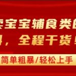 小红书卖宝宝辅食类的虚拟资料，从引流到私域变现，全程干货，简单粗暴，轻松上手
