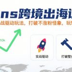 Ins跨境出海训练营，实战驱动玩法，打破不涨粉怪象，玩转社媒自然流量