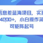风口信息差蓝海项目，实测一天收益4k+，小白操作简单，可矩阵起号