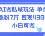 用AI做私域玩法，单条视频涨粉7W变现4.3k，小白可做