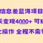 信息差蓝海项目当天变现多张 可矩阵自动化操作 全程不需要人工