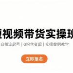 短视频带货实操班，自然流电商快速起号，实现轻松带货变现