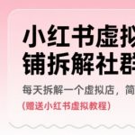 小红书虚拟店铺拆解社群，每天拆解一个虚拟店，简单实用(赠送小红书虚拟教程)
