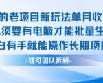 老项目新玩法单月收入2W小白有手就能操作长期项目