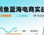 闲鱼蓝海电商实战，店铺搭建运营售后全流程