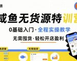 无货源特训营，0基础带你玩转咸鱼无货源