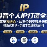 抖音个人IP系统落地实操大课，实操课程，辅助落地