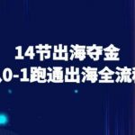 14节出海夺金从0-1跑通出海全流程-跨境电商教程