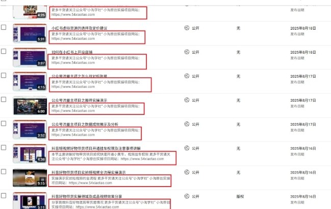 2025油管引流术，分享[/erphpdown]我是如何通过油管做引流的