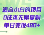 适合小白的项目0成本无限复制单日变现4张+