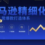 亚马逊精细化运营爆款打造体系，视频课+全套资料文档