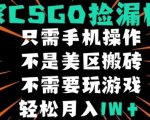 CSGO自动捡漏项目，最新独家玩法，不是美区搬砖，不需要了解和玩游戏，新手小白轻松月入1W+【揭秘】