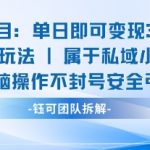 新项目单日即可变现3张的小白玩法无脑操作不封号安全引流