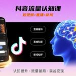 抖音流量认知课，短视频+直播+私域，认知提升，闪电开悟