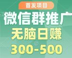 首发项目，微信群推广，一天15单，每单利润10米，无脑日入3-5张【揭秘】