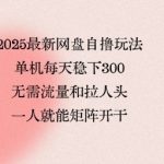 2025最新网盘自撸玩法，单机每天稳下3张，无需流量和拉人头，一个人就可轻松矩阵，全网独一份【揭秘】