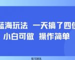 小众蓝海玩法 一天搞了四位数 小白可做 操作简单