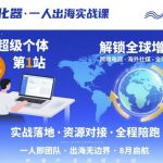 出海去孵化器，一人出海实战课，​超级个体第1站，解锁全球增长