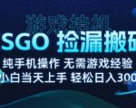 8月最新游戏搬砖，CSGO纯挂G，不需要玩游戏，实现真挂G，月入1W+【揭秘】