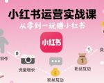 小红书运营实战课，从零到一玩賺小红书