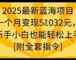 2025最新蓝海项目一个月变现1w+新手小白也能轻松上手【附全套指令】