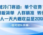 私域冷门赛道单个收费198米引流模板简单人群精准 45%的转化率单人一天大概收益多张