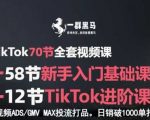 TikTok全套视频课，新手入门+进阶课，短视频ADS-GMV MAX投流打品，日销破1000单打法
