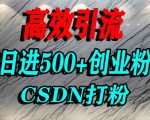 怎么打创业粉？CSDN又一个你不知道的打粉引流神秘平台，单人日引500+精准流量