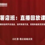 小红薯薯店商城卖货直播回放课，教你如何开店选品、如何系统引流，实现快速卖货变现