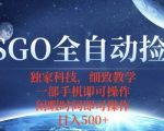 CSGO自动捡漏项目，最新独家玩法，一个手机即可操作，新手小白轻松月入1W+，操作简单易上手【揭秘】