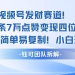 视频号发财赛道单条7W点赞变现四位数方法简单易复制小白玩法
