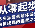 拼多多运营进阶系统课，从零起步，多多运营进阶体系课，破茧成蝶的运营之术（更新9月）