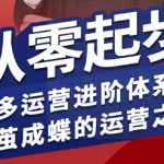 拼多多运营进阶系统课，从零起步，多多运营进阶体系课，破茧成蝶的运营之术（更新9月）