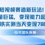 新赛道新玩法流量巨猛变现能力超强老铁实测当天变现7张