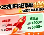 2025拼多多旺季新老店铺——快速低成本起量破千单