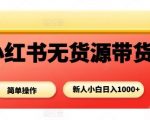 小红书无货源带货项目，简单无脑，新人小白日入多张