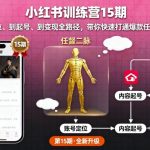 小红书训练营15期，从定位、到起号、到变现全路径，带你快速打通爆款任督二脉