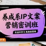 养成系IP文案营销密训班，实战中学习真高级营销