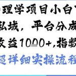 AI+心理学项目，小白可做，变现渠道多【带货，私域，平台分成，收徒】单日收益1k