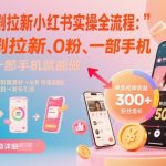 短剧拉新小红书实操全流程，0粉一部手机就可以做，详细教程