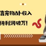 从兴趣到副业靠宠物占卜收入翻3倍一个月纯利润破W