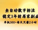 全自动数字标注，稳定3年的蓝海项目，居家也能矩阵开干的副业，单机日入3张+【揭秘】