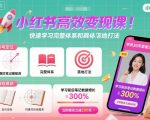 小红书高效变现课，快速学习小红书完整体系和具体落地打法